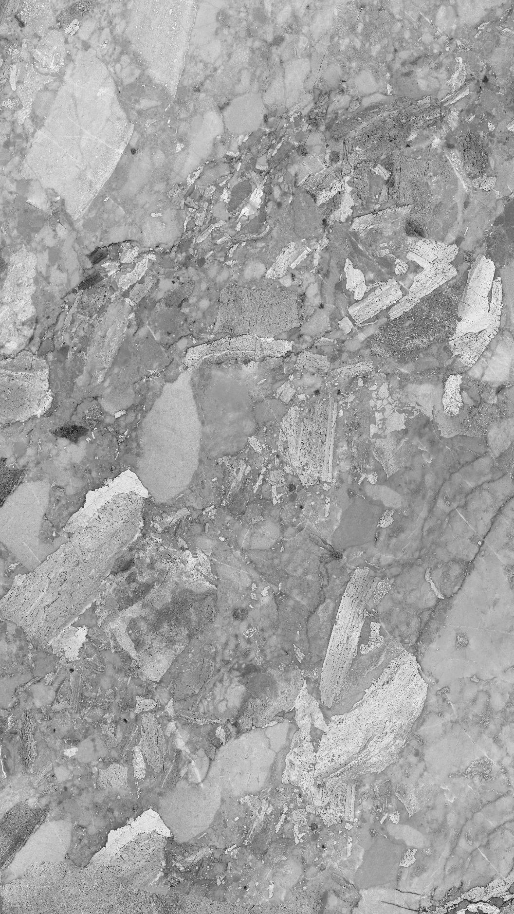 Terrazzo Medium Porcelain Tile