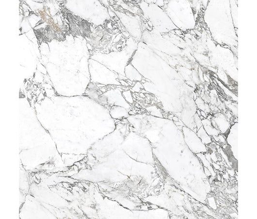 Superb Marble Italian Porcelain Tile - Arabescato