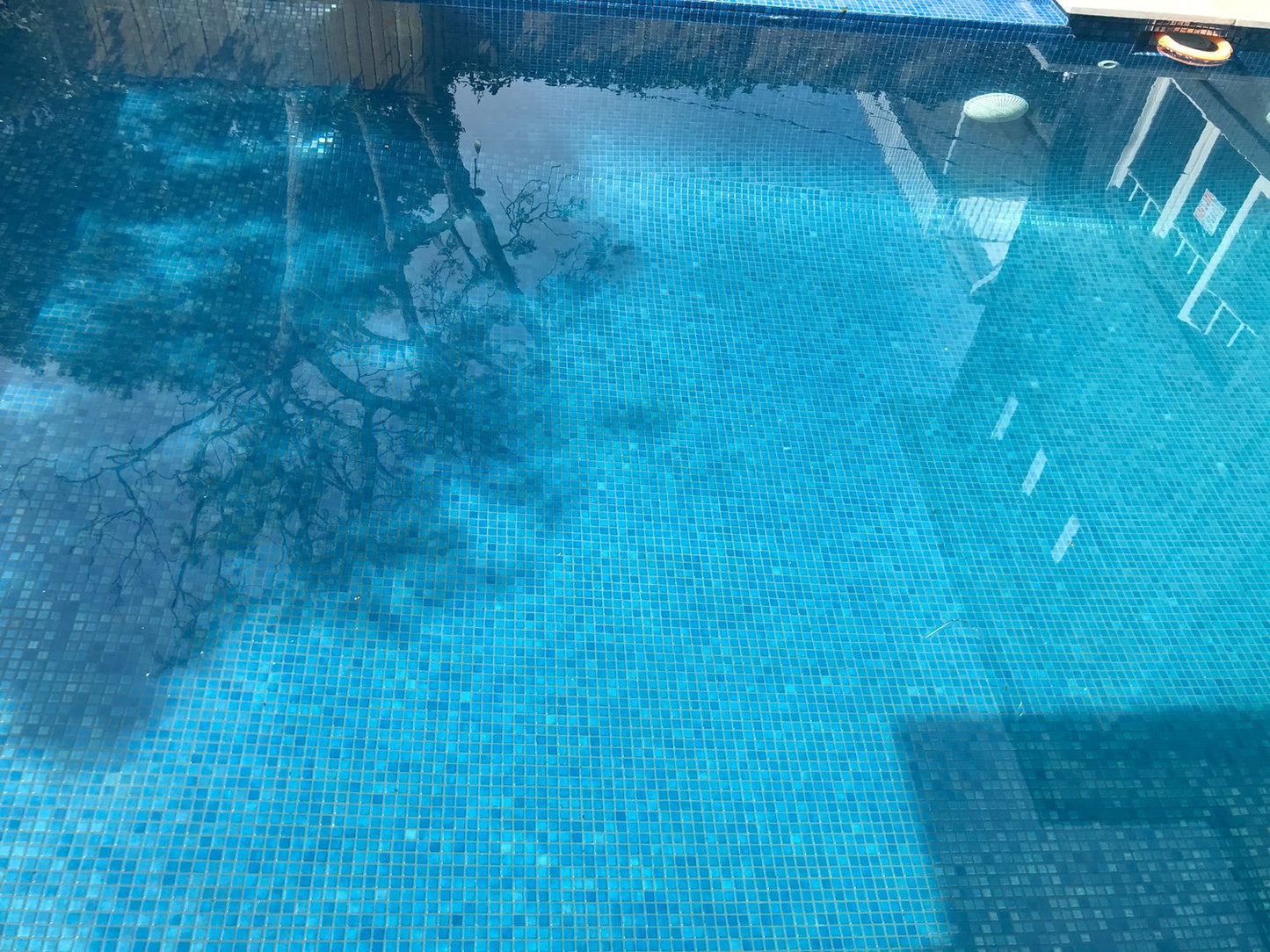 Leyla Balmoral Glass Mosaic