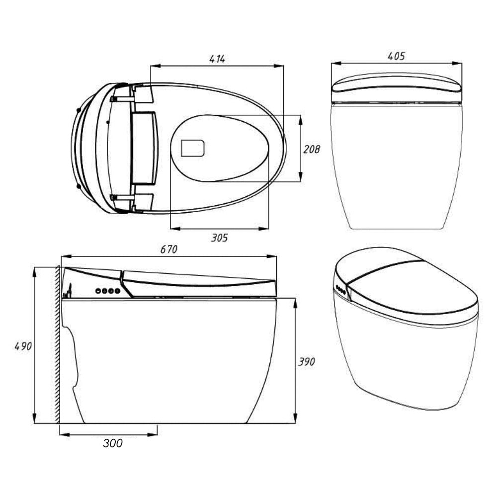Instant Heating Jet Siphon Flushing Smart Toilet