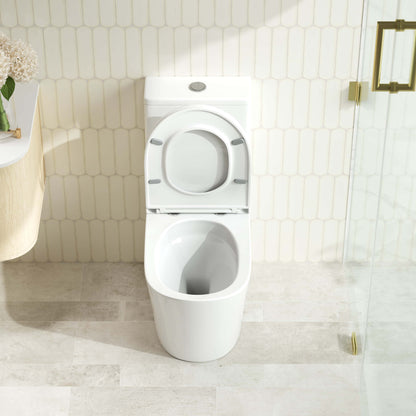 Fifa Back-to-Wall Toilet Suite - Gloss White