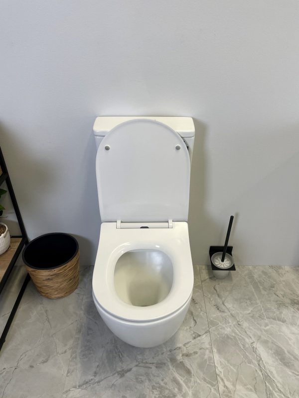 Hani Back-To-Wall Toilet
