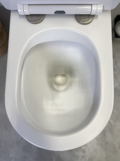 Hani Wall-Faced Toilet - Matte White