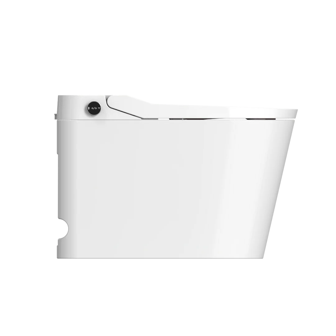 Kyoto Intelligent Toilet
