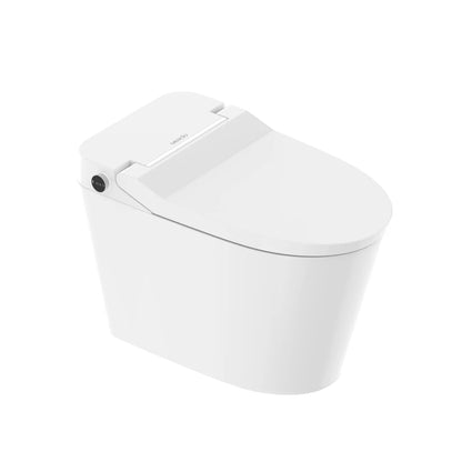 Kyoto Intelligent Toilet