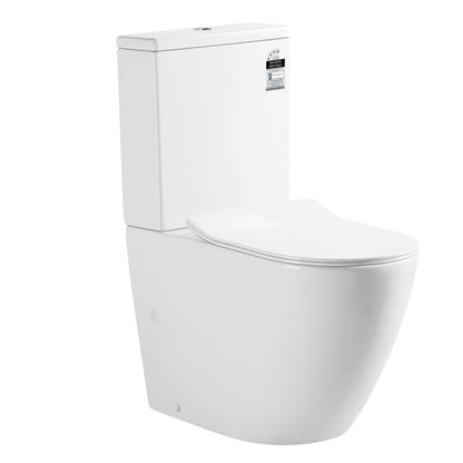 Norton Back-To-Wall Toilet Suite