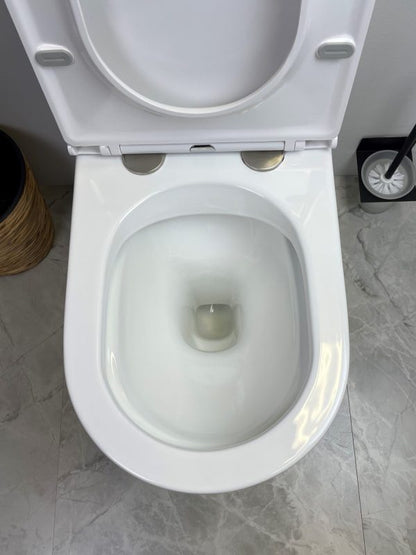 Pani Back-To-Wall Toilet