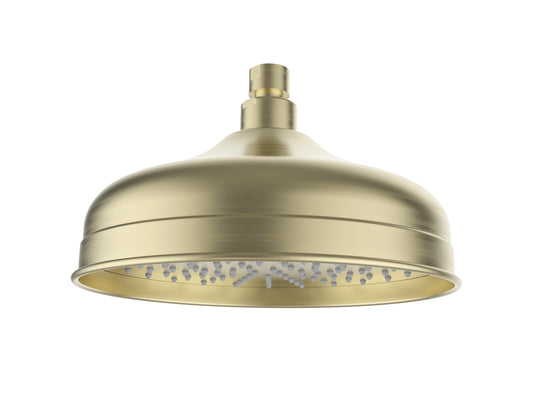 Clasico Shower Head - Brushed Gold