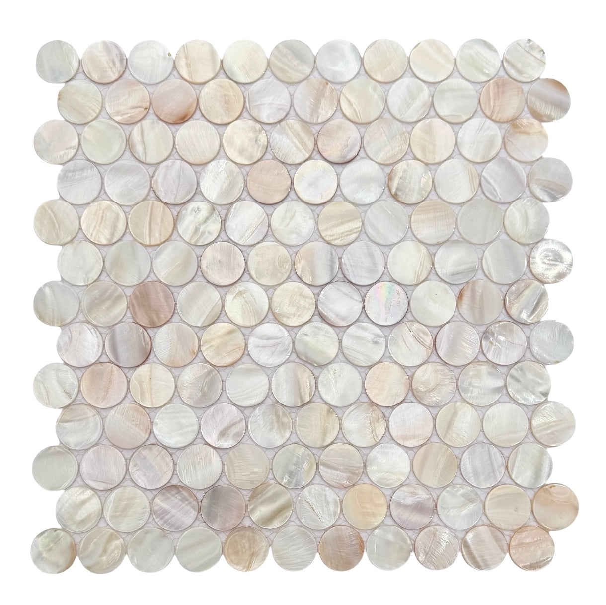 Seashell Natural Penny