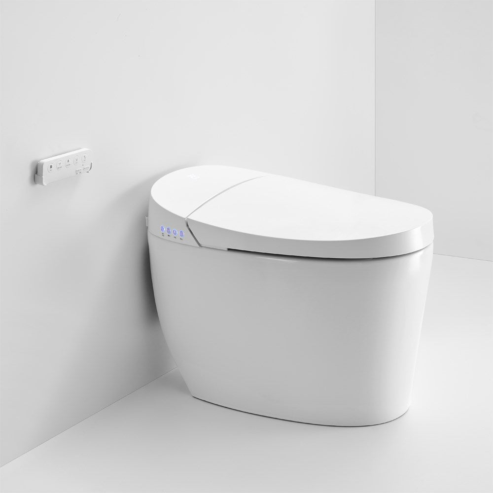 Instant Heating Jet Siphon Flushing Smart Toilet
