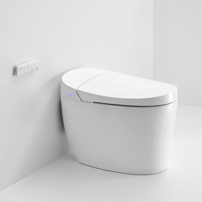 Instant Heating Jet Siphon Flushing Smart Toilet