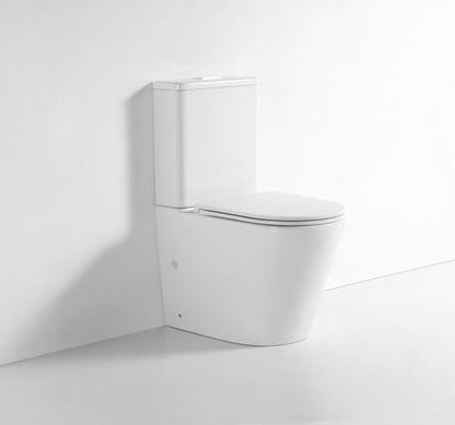Walton Back-To-Wall Toilet Suite